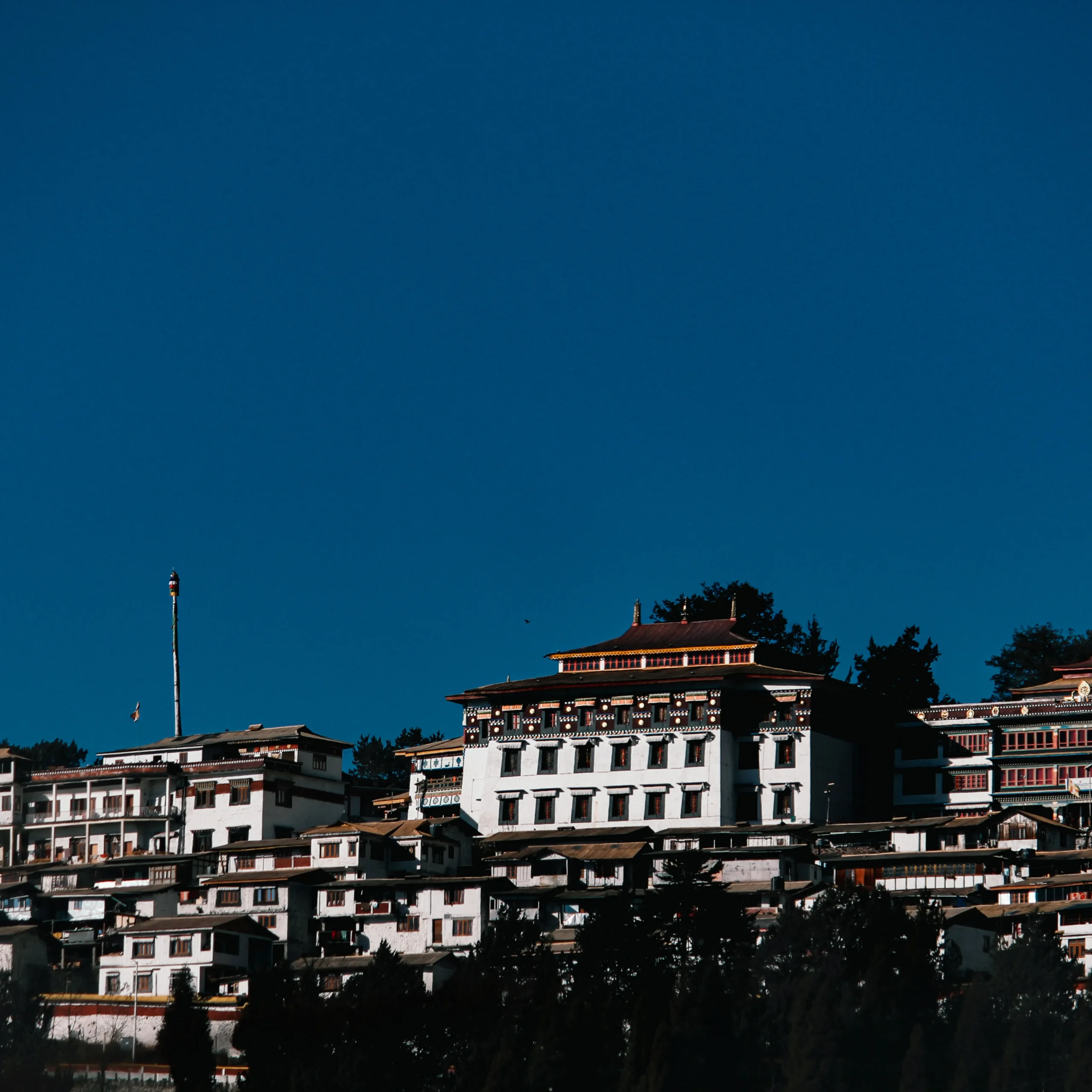 Adventure + Cultural Immersion + Culinary Experience