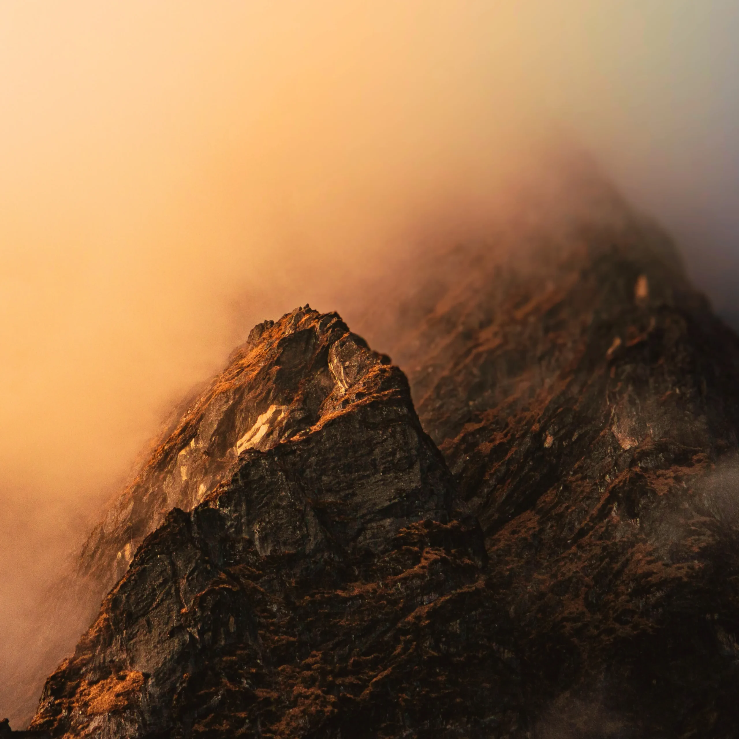 Adventure + Cultural Immersion + Culinary Experience