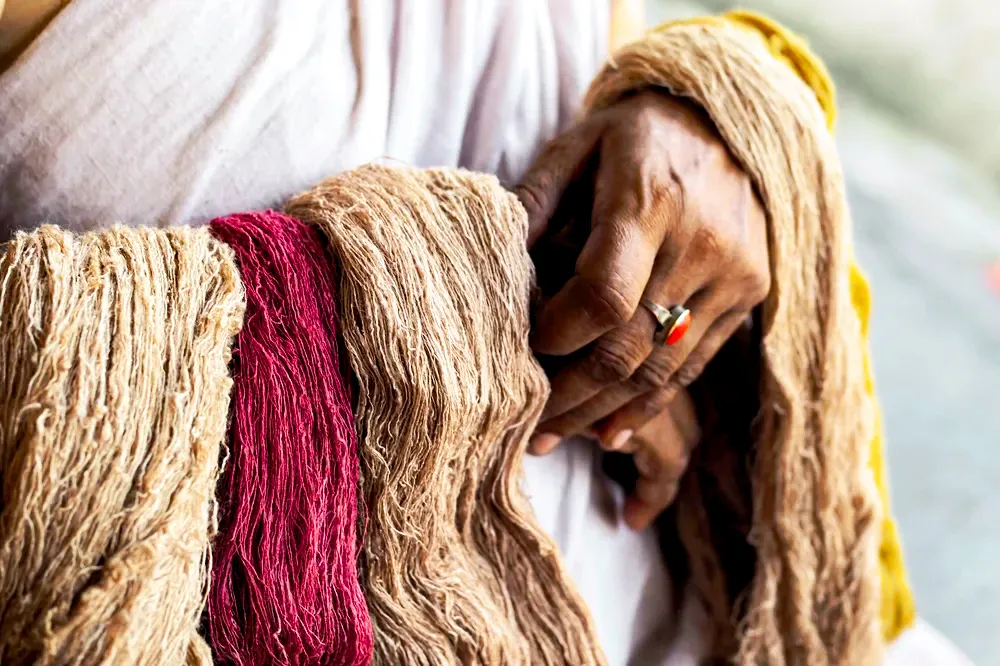 Eri Silk Village Tour