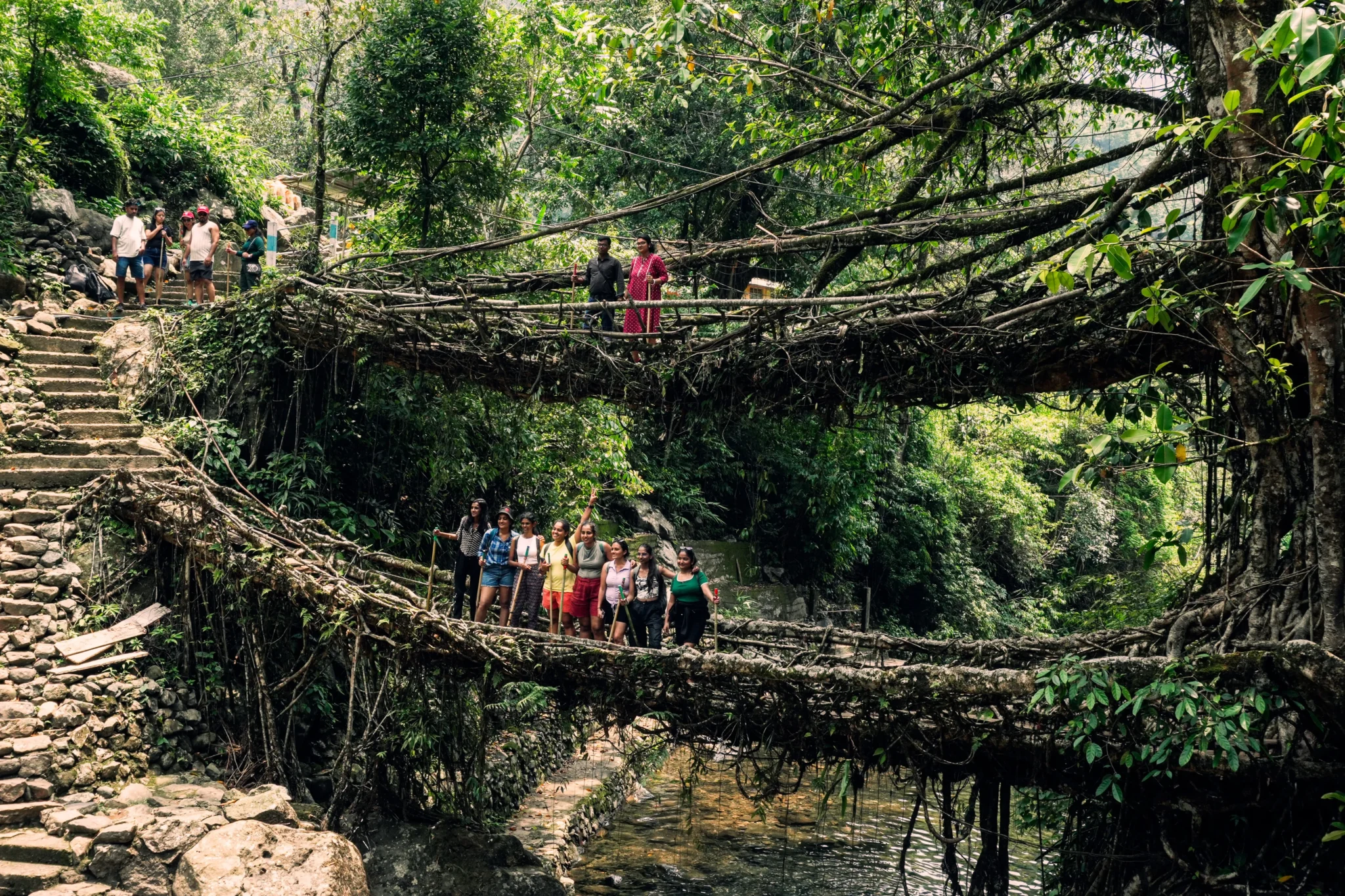 Double-Decker Root Bridge